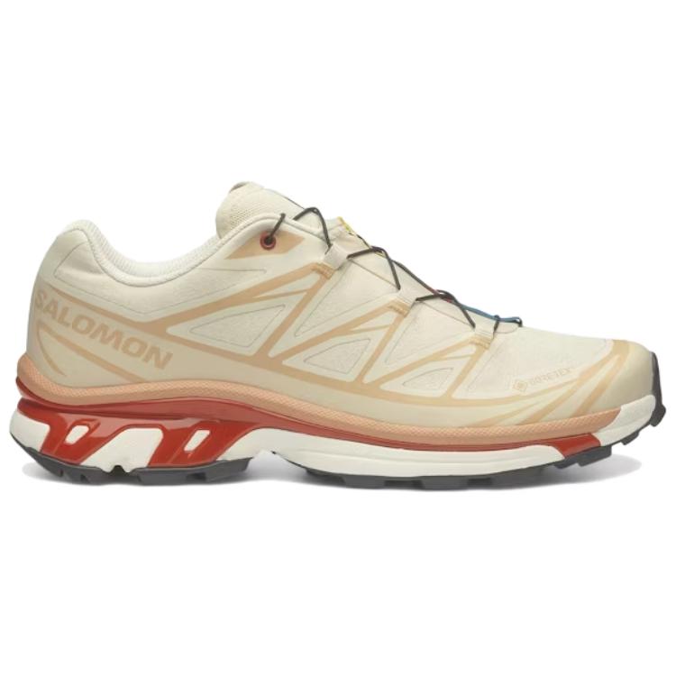 SALOMON XT 6 GORE TEX 'Almond Milk Burnt Ochre'