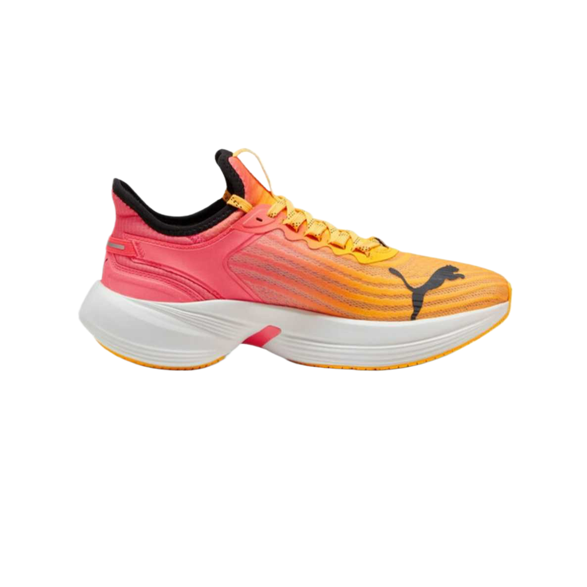 PUMA Conduct Pro Low top Running Shoes Unisex