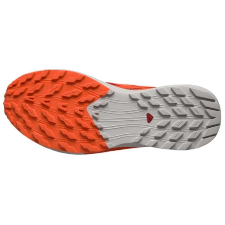 SALOMON Sense Ride 5 'Orange' / L00 купить в интернет-магазине Yoocart с быстрой доставкой по России.