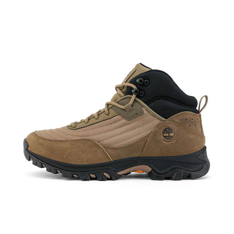 Timberland Hiking/Trekking Shoes Men's Brown