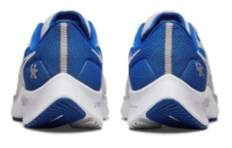 Nike Air Zoom Pegasus 38 Kentucky купить в интернет-магазине Yoocart с быстрой доставкой по России.