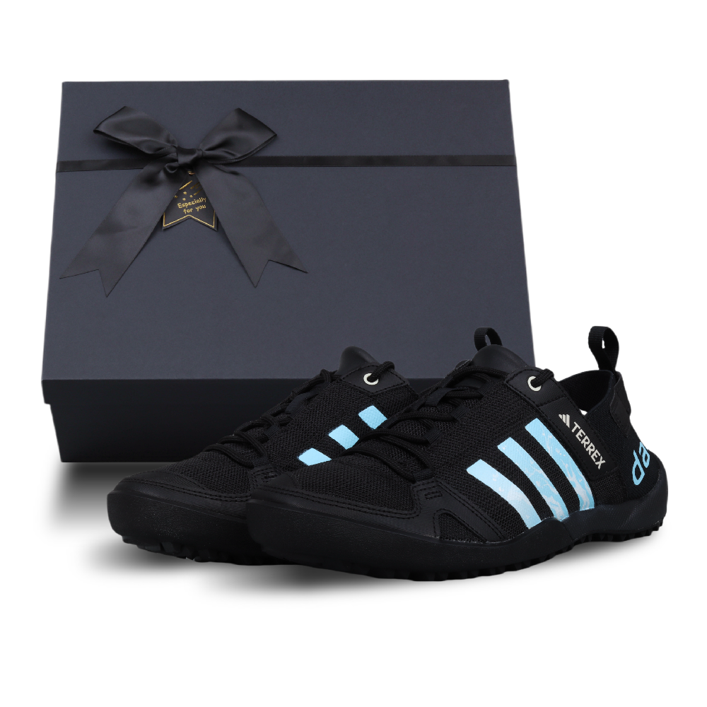 Adidas Terrex Daroga Hiking / Trekking Shoes Unisex Low Top Cerulean