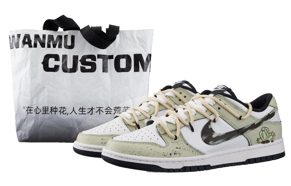Nike Dunk Desert Light Low Top Skateboard Shoes Men's White Green