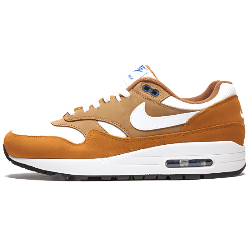Nike Air Max 1 Curry 2018