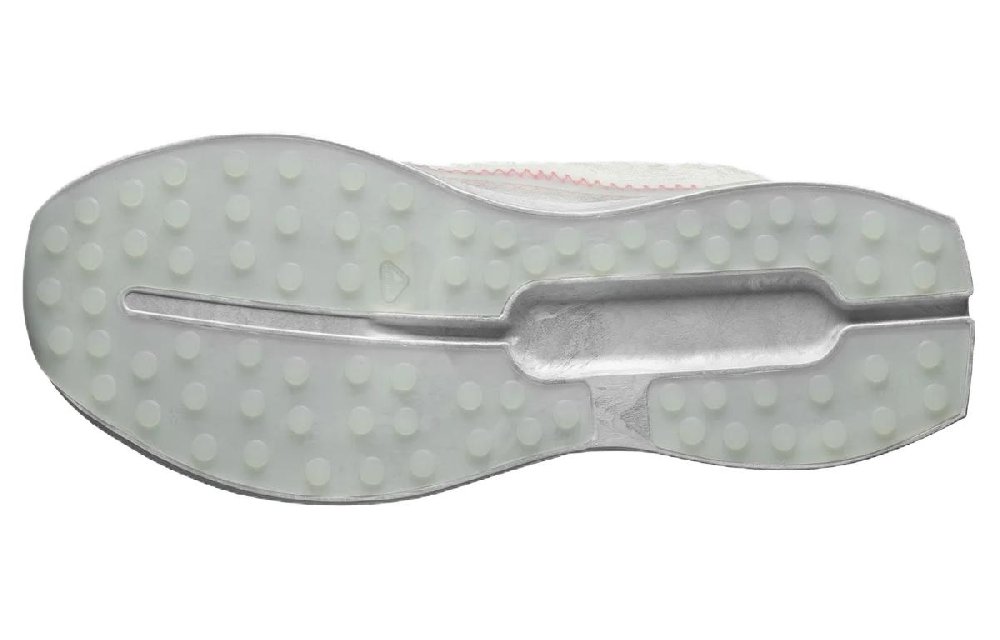 SALOMON Index 03 'White Cherry Tomato'