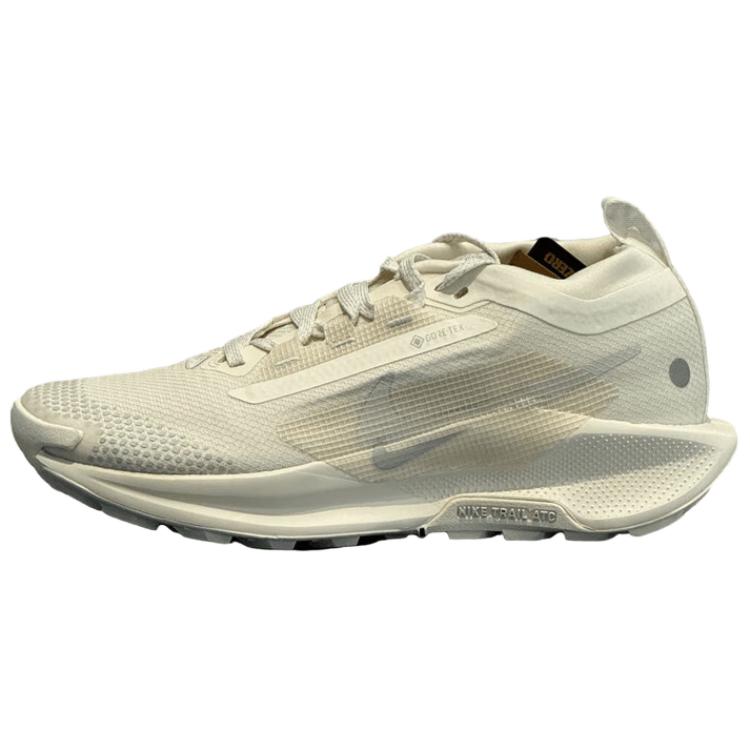 Nike Pegasus Trail 5 Gore Tex 'Sail Photon Dust' Women's