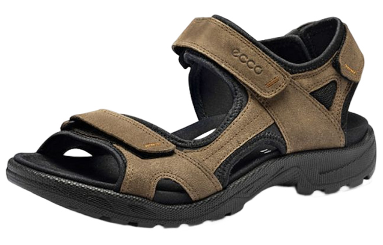 Ecco Beach Sandals Men Brown Black
