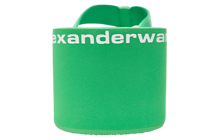 Alexander Wang Flip Flops Women's Green