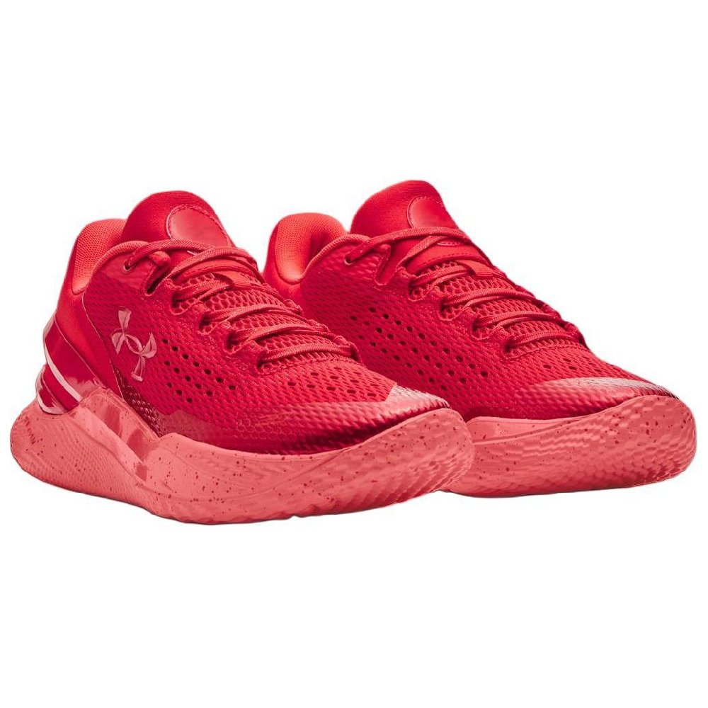 Under Armour Curry 2 Low FloTro Davidson