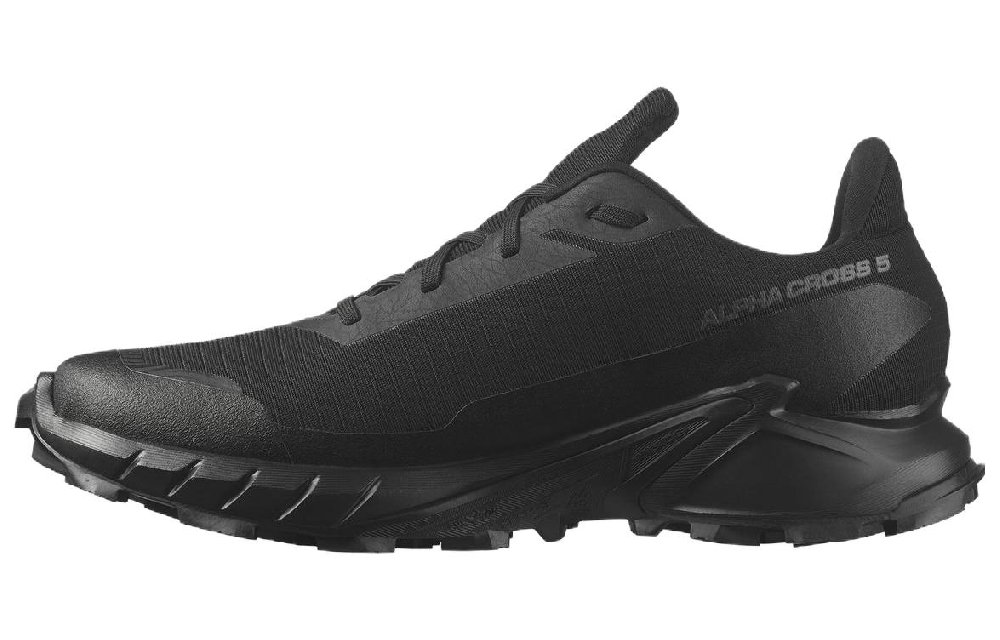 SALOMON Alphacross 5 GORE TEX 'Black Ebony'