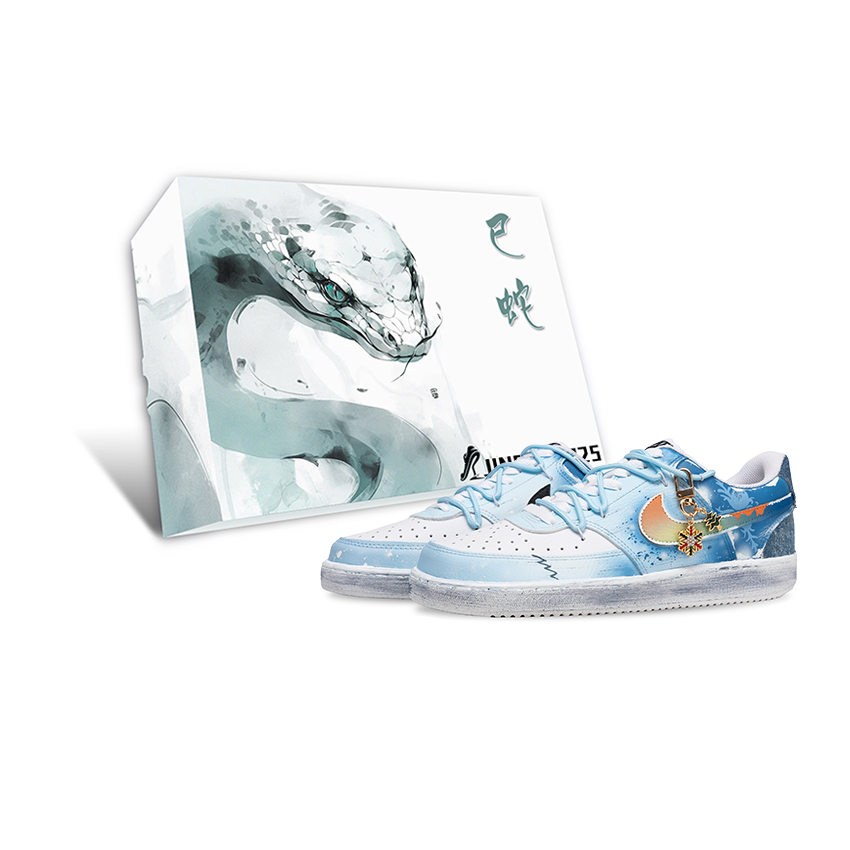 Nike Court Vision 1 Cushioning Wear-Resistant Low-Top Skateboard Shoes Men's Blue