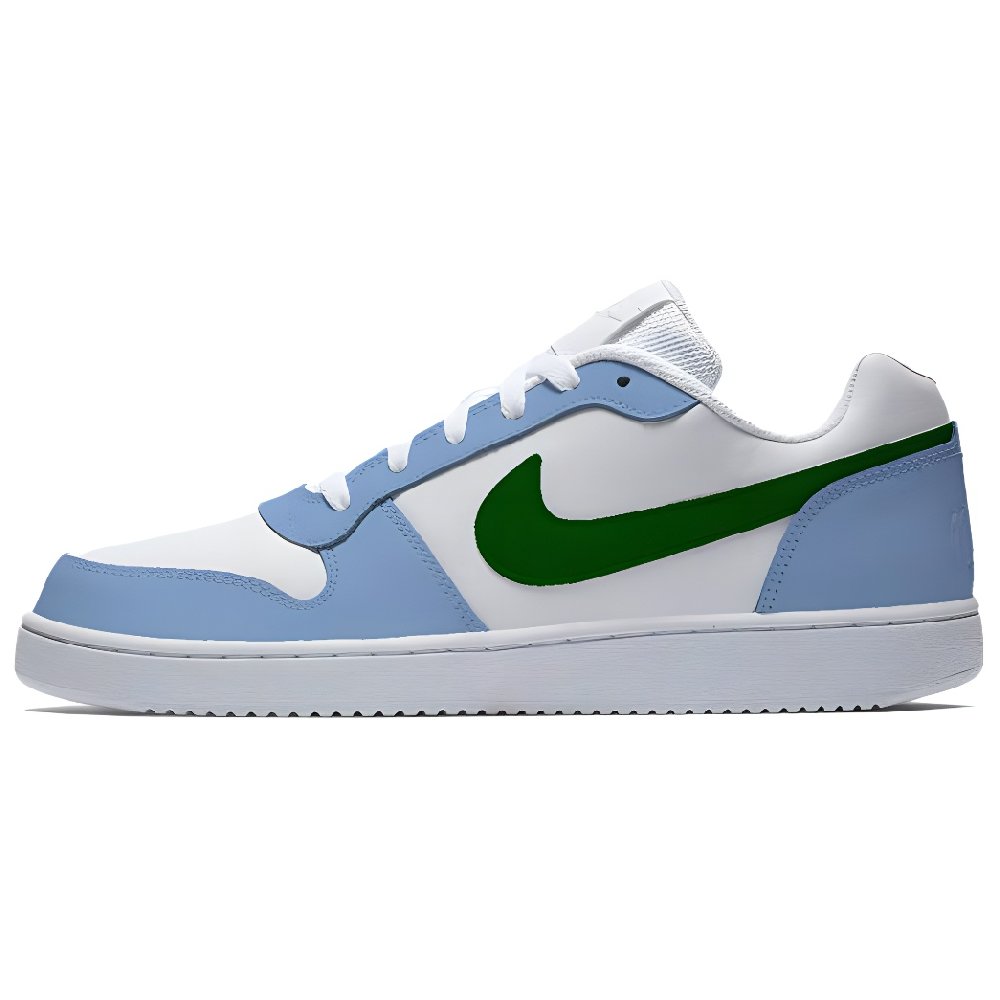 Nike EBERNON Frosty Mist Sea Anti Slip Wear Resistant Low Top Skateboard Shoes Men's Turquoise