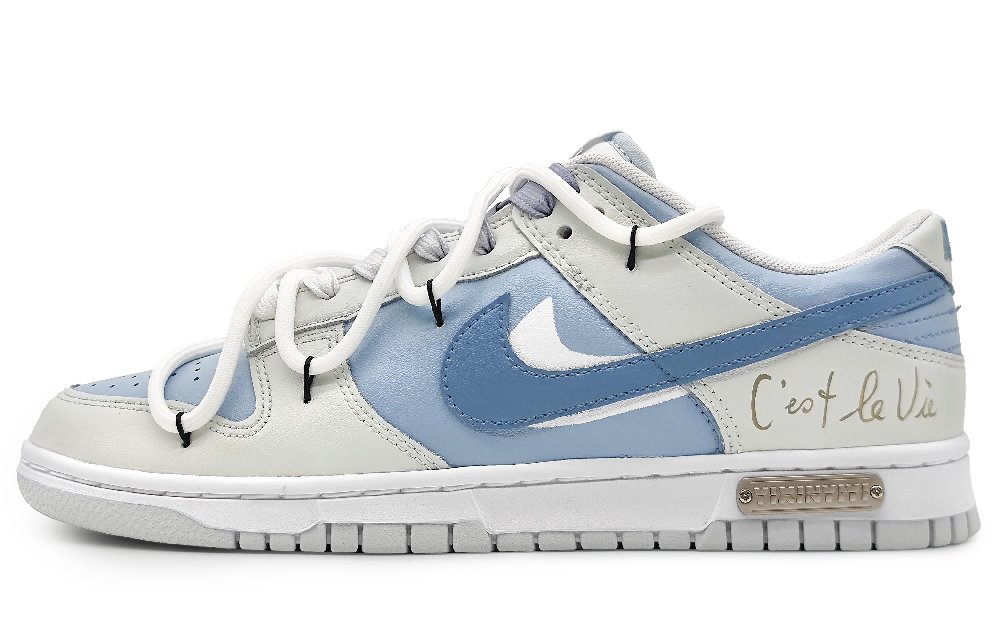 Nike Dunk Slip-Resistant Cushioning Wear-Resistant Low-Top Skateboard Shoes Men's Blue Gray