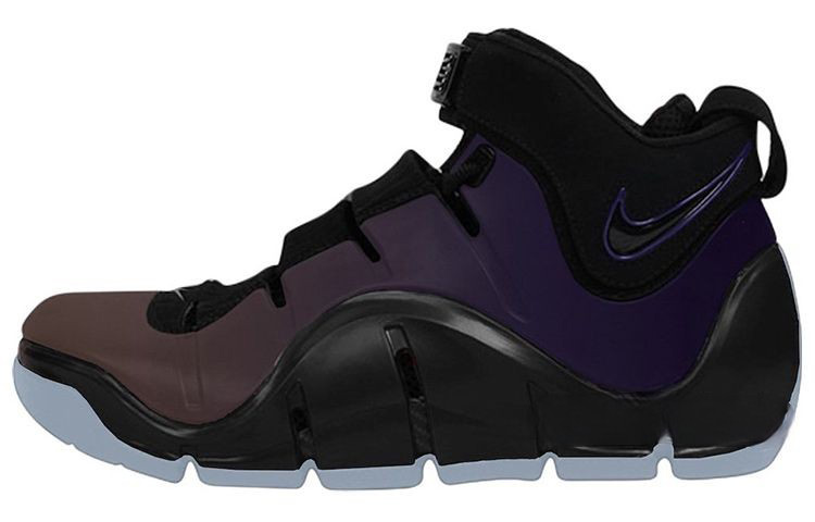 Nike LeBron 4 "Eggplant"