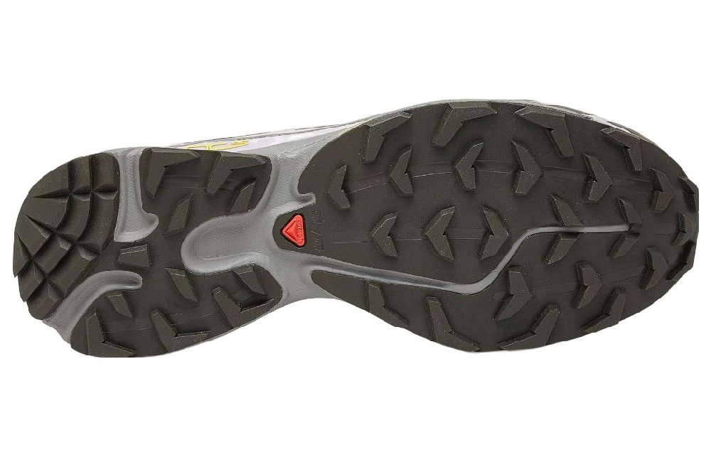 SALOMON XT 6 'Plum Kitten Gull'