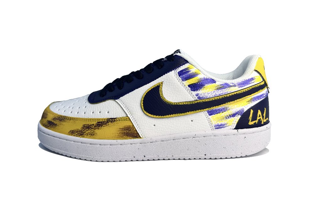 Nike Court Vision 1 Abrasion Resistant Low Top Skateboard Shoes Men's Purple Blue