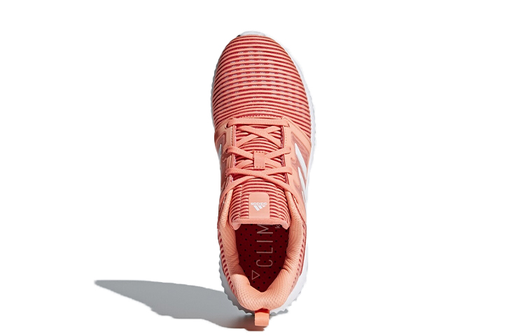 Adidas Climacool Vent 'Pink' Women's купить в интернет-магазине Yoocart с быстрой доставкой по России.