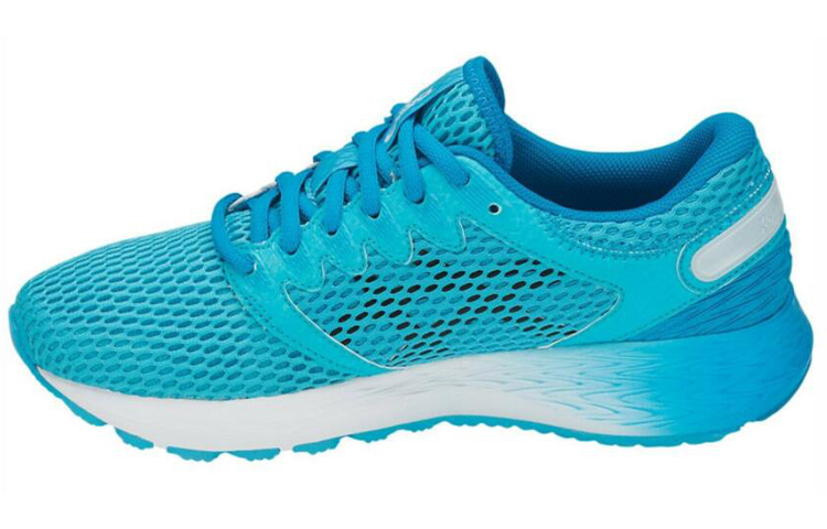 Asics Roadhawk Ff 2 Blue Women's