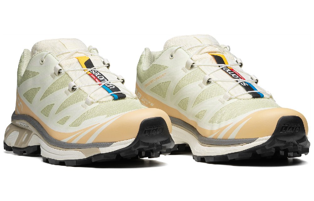 SALOMON XT 6 'Aloe Wash Hazelnut'