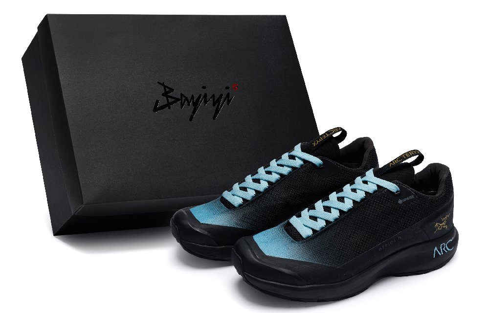 Arcteryx Aerios Fl 2 Outdoor Shoes Unisex Low-Top Blue