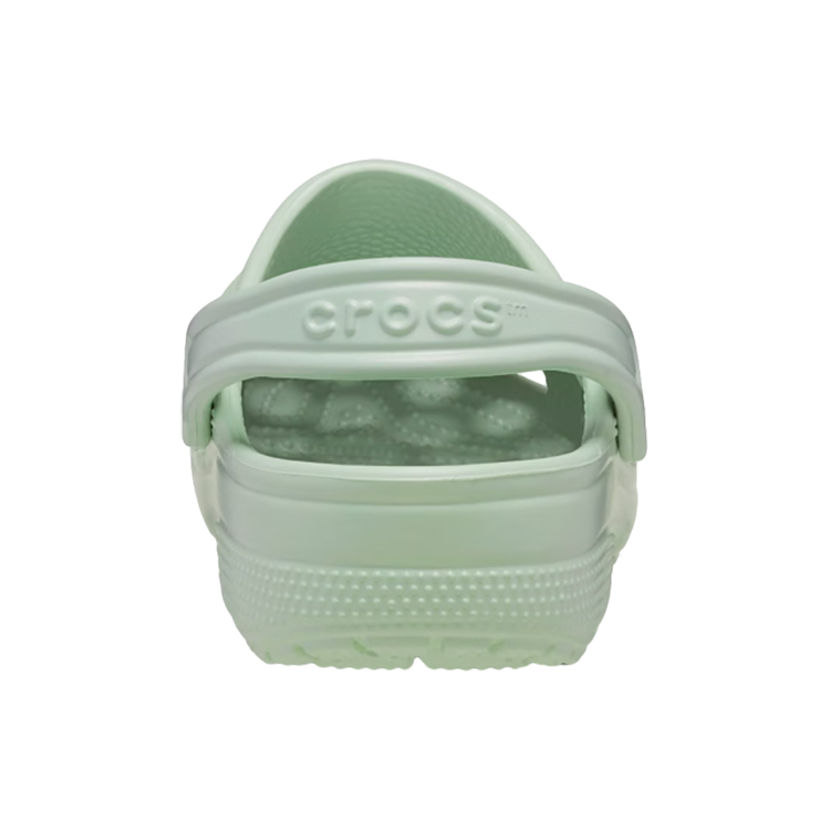 Crocs Classic Clog Clogs Unisex Cream Green