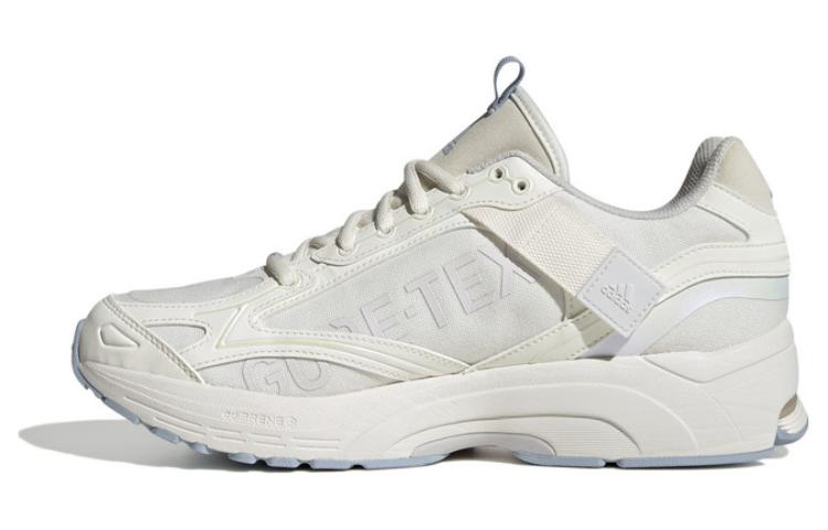 Adidas Spiritain 2000 GORE TEX 'Clear White Wonder Blue' Women's