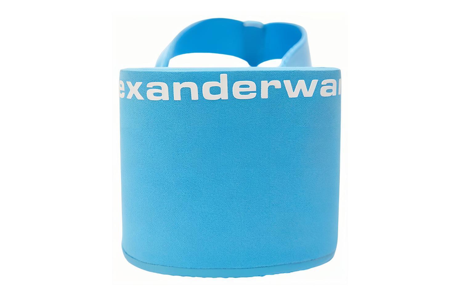Alexander Wang Flip Flops Women's