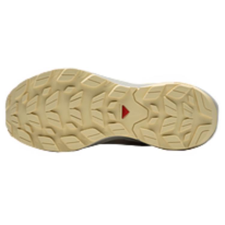 SALOMON Elixir Shock Absorbers Waterproof And Breathable Support Lightweight Grip Low top Hiking Shoes Women's Brown купить в интернет-магазине Yoocart с быстрой доставкой по России.