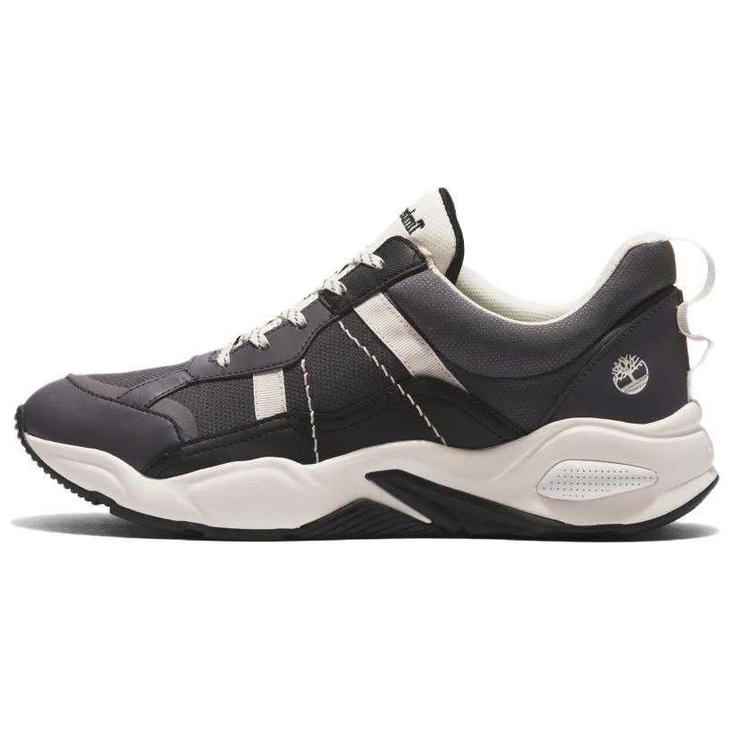 Timberland Delphiville Hiking / Trekking Shoes Women's Low-Top Dark Gray