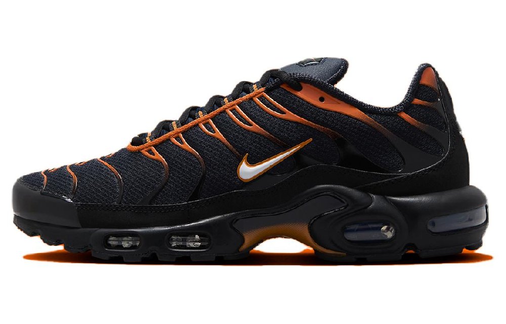 Nike Air Max Plus Dark Obsidian Monarch