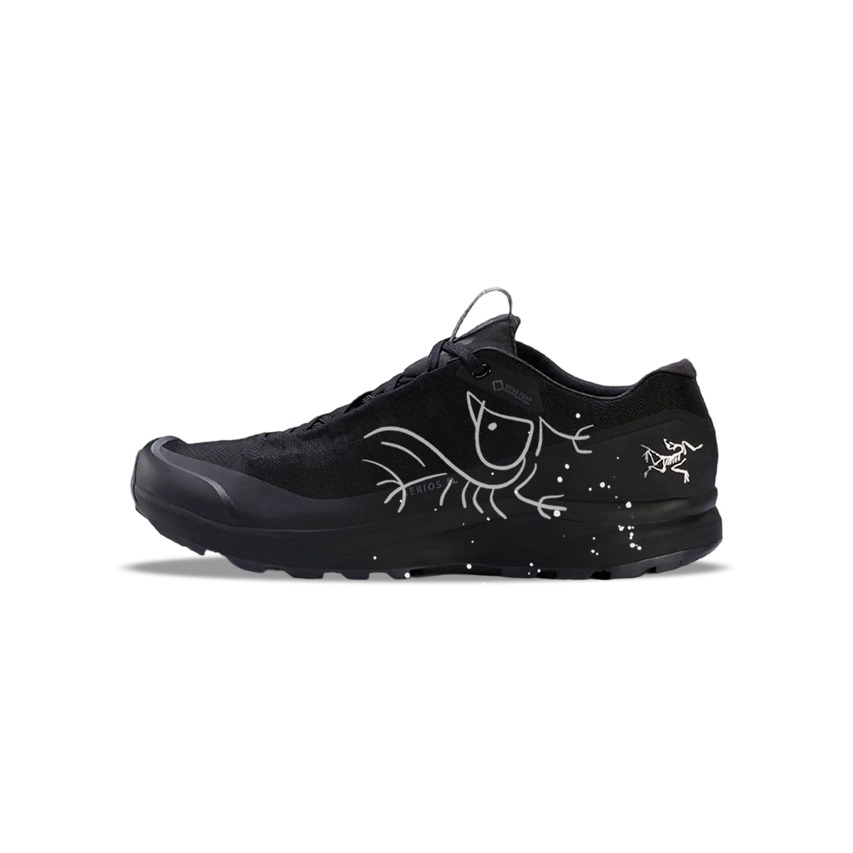 Arcteryx AERIOS FL GTX Low top Running Shoes Men's Black White