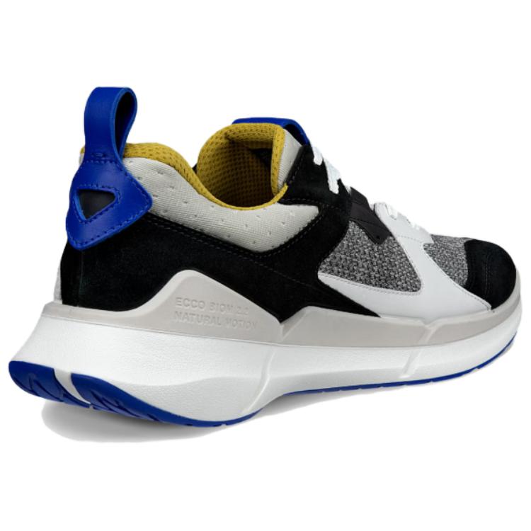 Ecco Biom 2.2 Low Top Casual Shoes Men's White Black