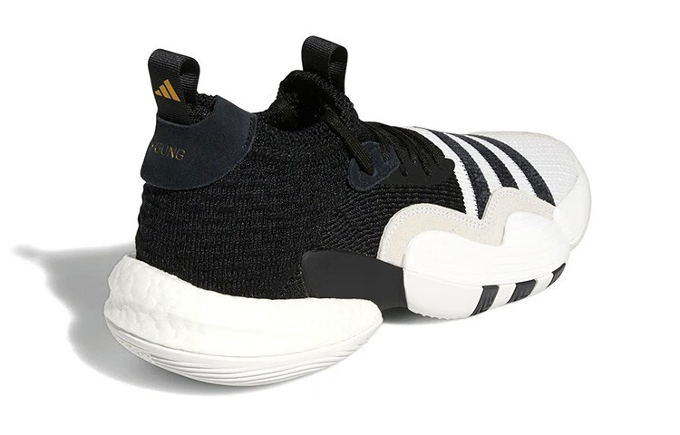 Adidas Trae Young 2.0 Basketball Shoes 'Cloud White / Core Black' купить в интернет-магазине Yoocart с быстрой доставкой по России.