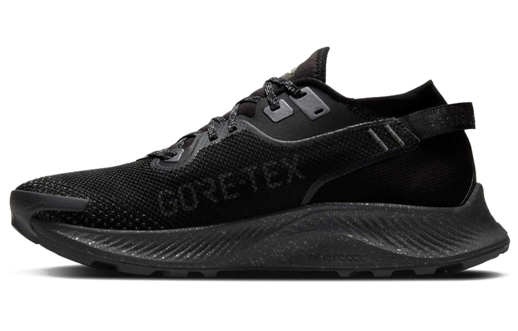Nike Pegasus Trail 2 Gore Tex Black