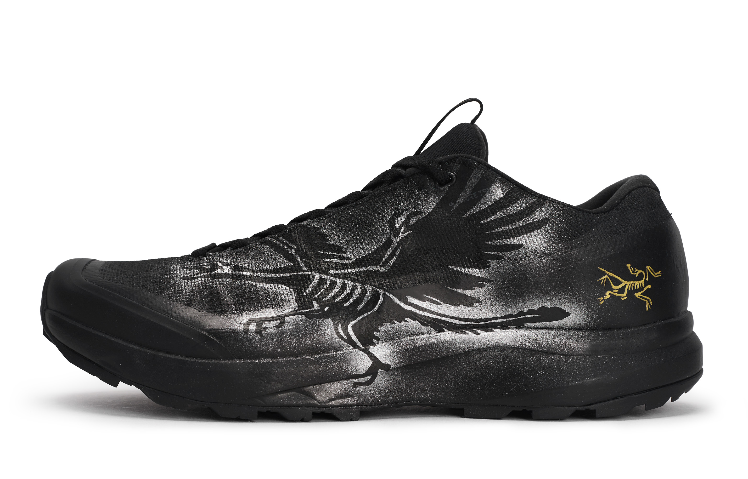 Arcteryx Aerios Fl 2 Outdoor Shoes Unisex Low top Black/Silver