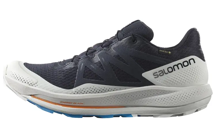SALOMON Pulsar Trail Gtx 'Night Sky' / L00