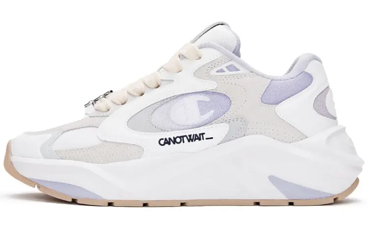 Champion Chunky Sneakers Men's Low top Gray Purple
