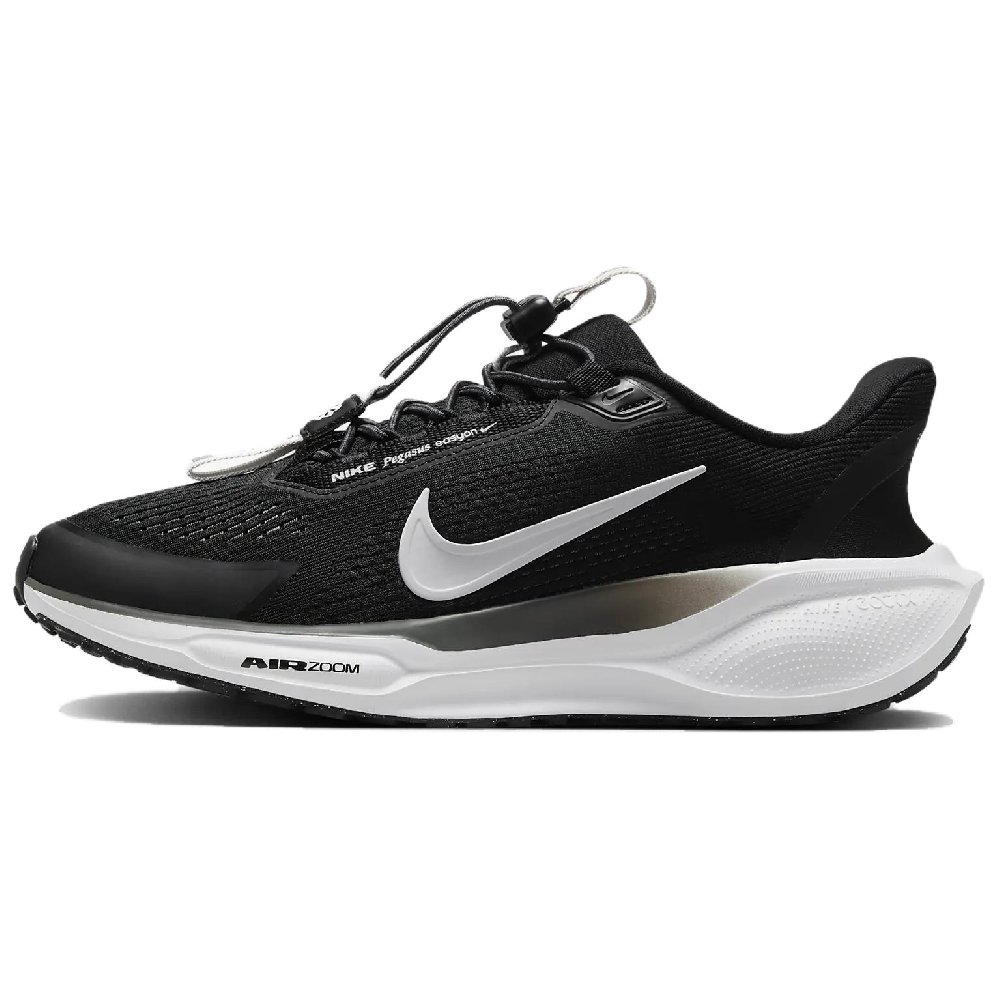 Nike Air Zoom Pegasus 41 EasyOn Black Anthracite Photon Dust White Women's