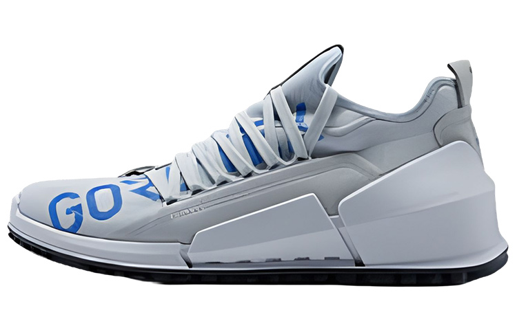 Ecco Striding 2.0 Series Low-Top Casual Shoes Men's Blue Gray