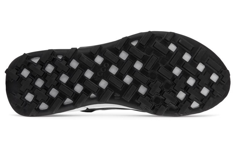 Ecco BIOM 2.1 X Mountain Low Top Casual Shoes Men's Black