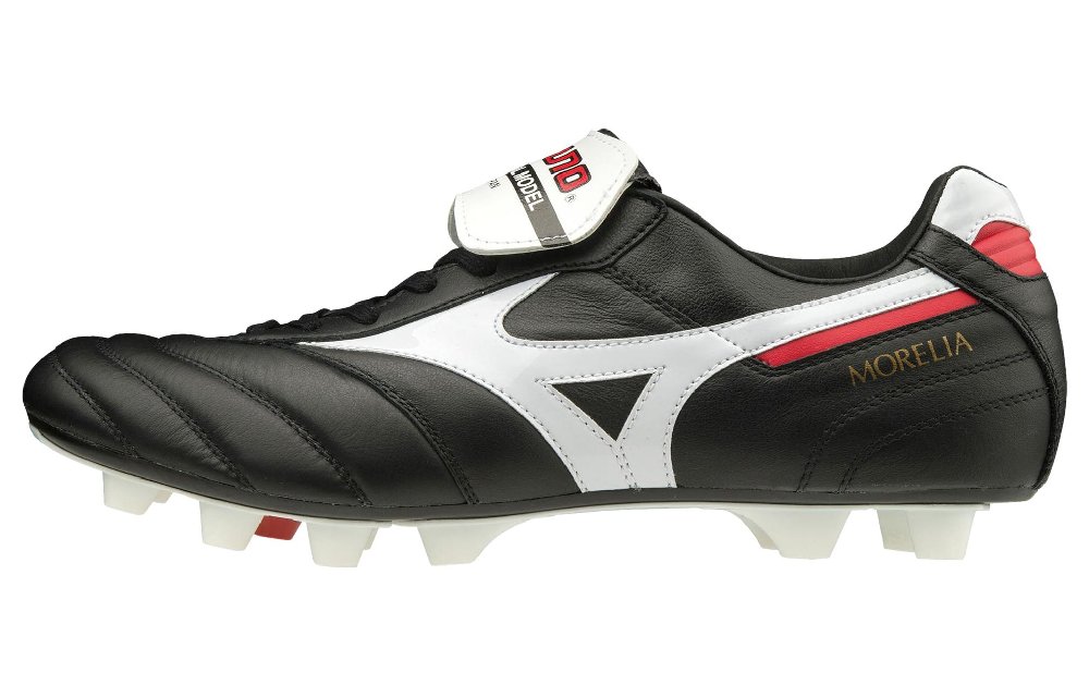 Mizuno Japan
