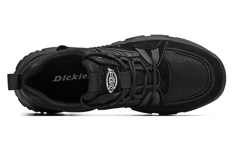 Dickies Повседневная обувь Low Top Мужская