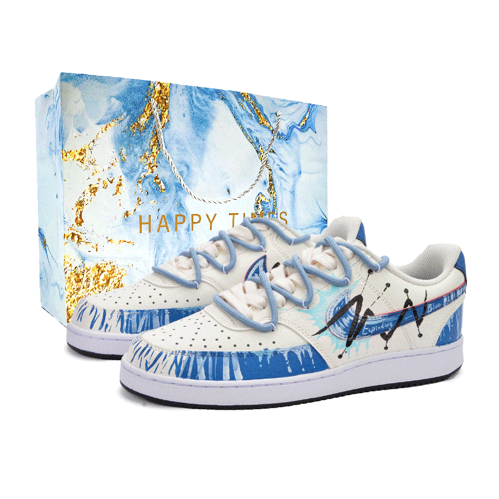Nike Court Vision 1 Wear resistant And Lightweight Low Top Skateboard Shoes Men's Blue White