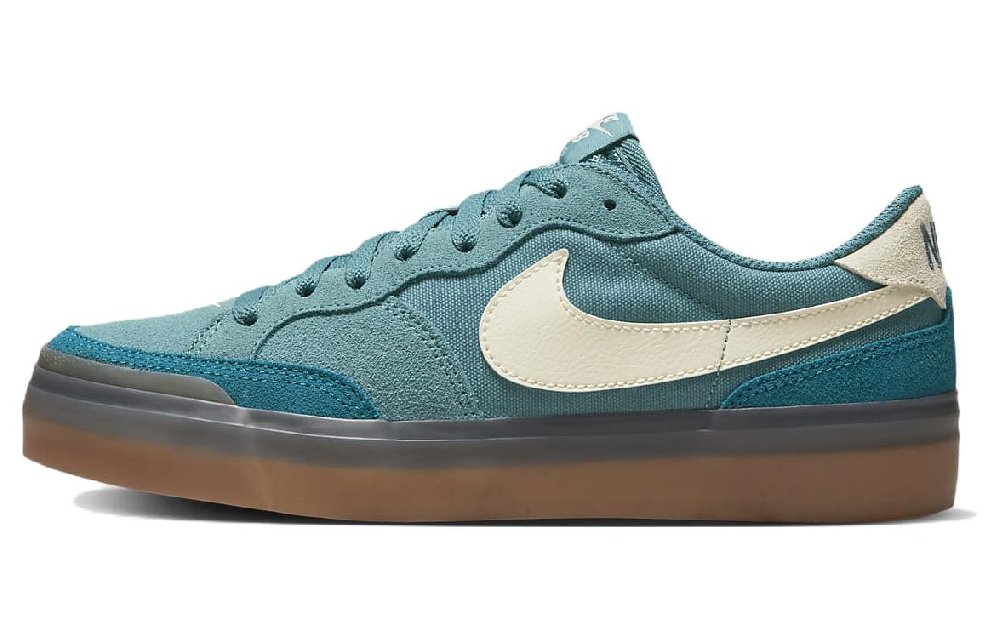 Nike Sb Zoom Pogo Plus Noise Aqua Women's