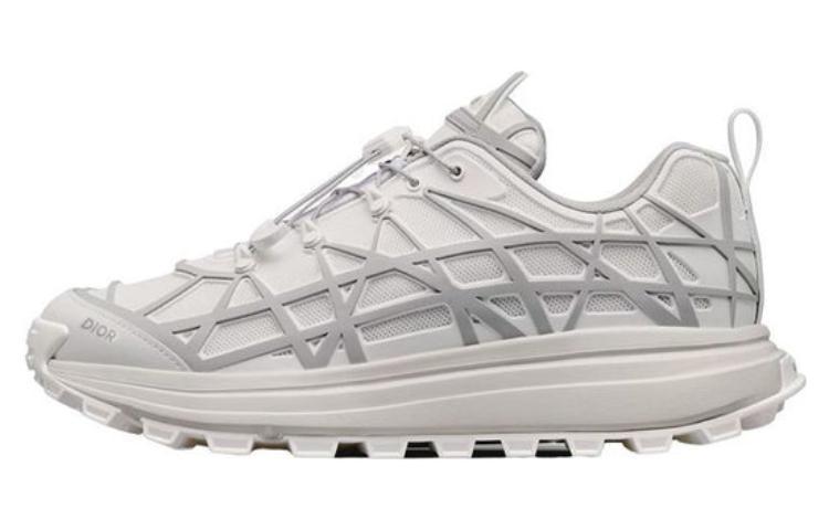 DIOR B31 Runner White Grey
