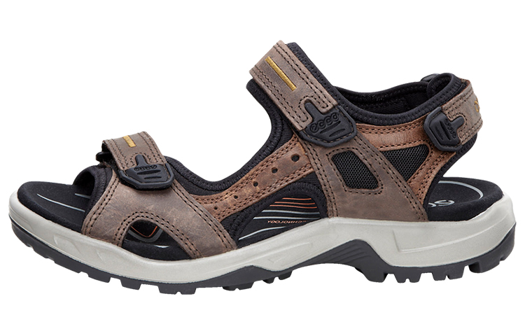 Ecco Beach Sandals Men Brown