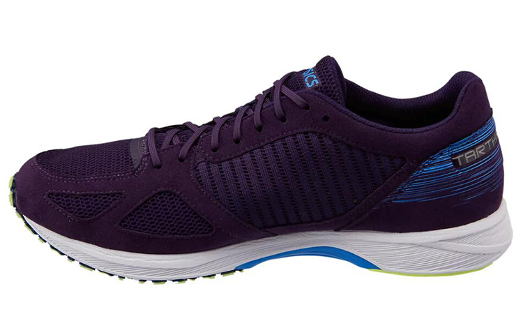 Asics Tartherzeal 6 Purple