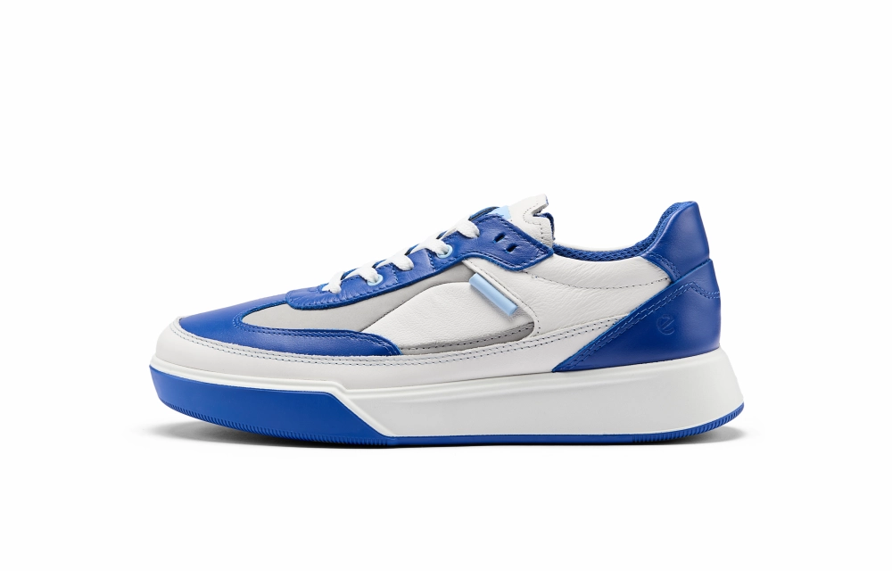 Ecco Low Top Skateboard Shoes Men's White/Royal Blue/Dove Gray
