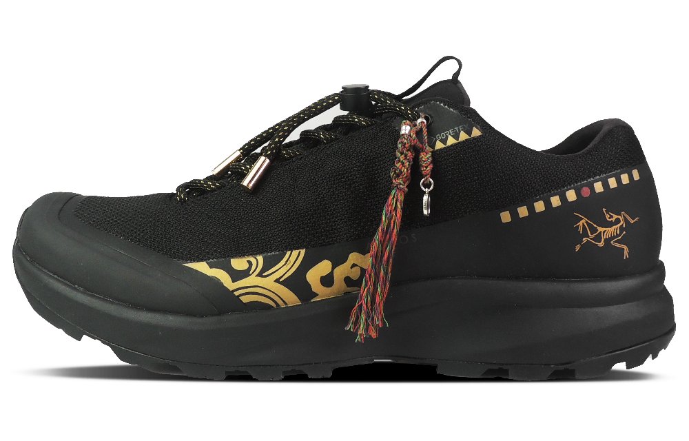 Arcteryx Aerios Fl 2 GTX Golden Ox Durable Breathable Moisture-Wicking Low-Top Single-Layer Outdoor Shoes Unisex Black