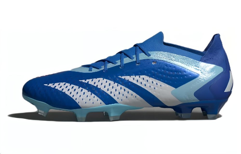 Adidas Predator Accuracy.1 Low Fg Marinerush Pack